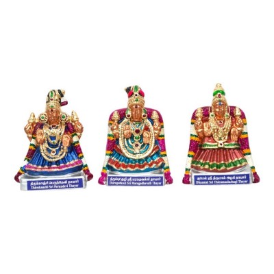 Nava Shri Thayar 9.5"