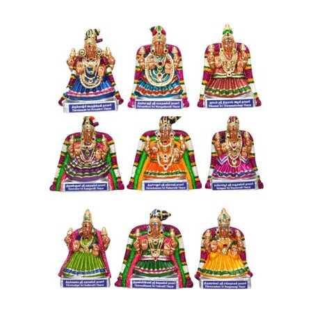Nava Shri Thayar 9.5"